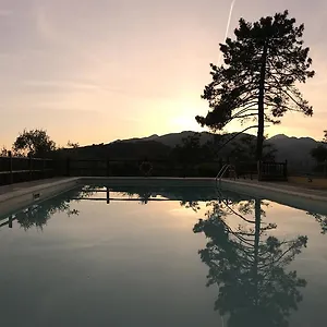 check availability